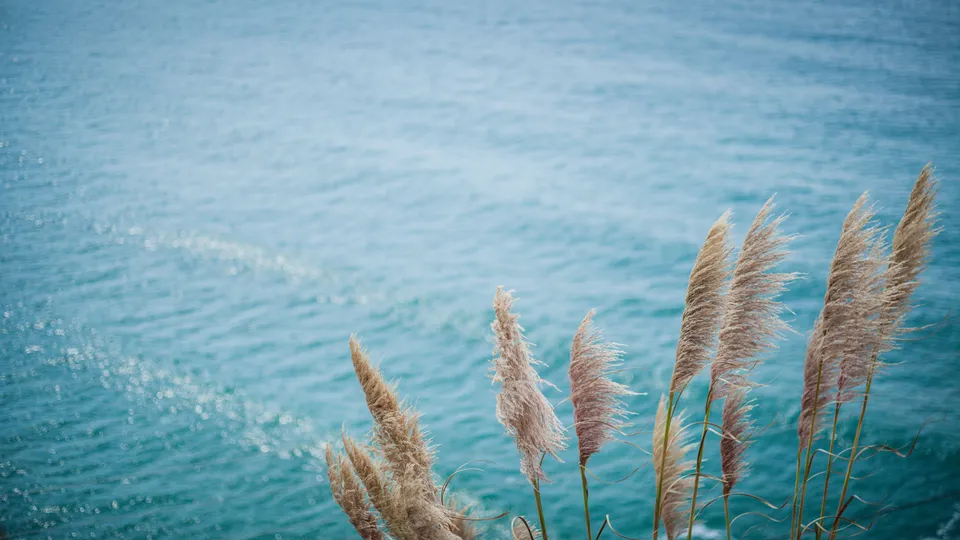 Sea — photo 3