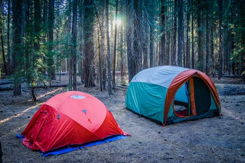 Lassen — photo 1
