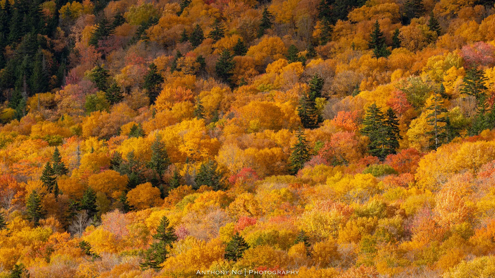 New Hampshire — photo 5